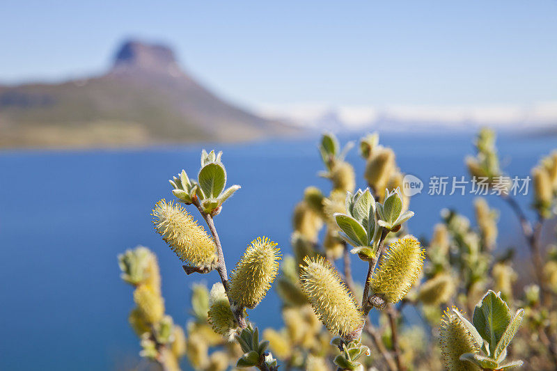 Westfjords, Iceland。